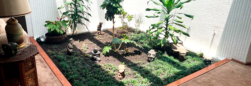 Luvika Construye